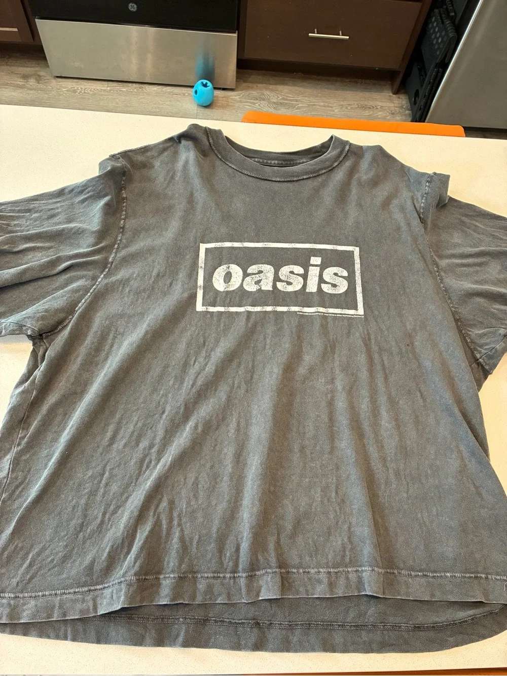 Abercrombie & Fitch Oasis Logo Crewneck T-Shirt - Charcoal with White Print
